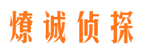 七台河商务调查